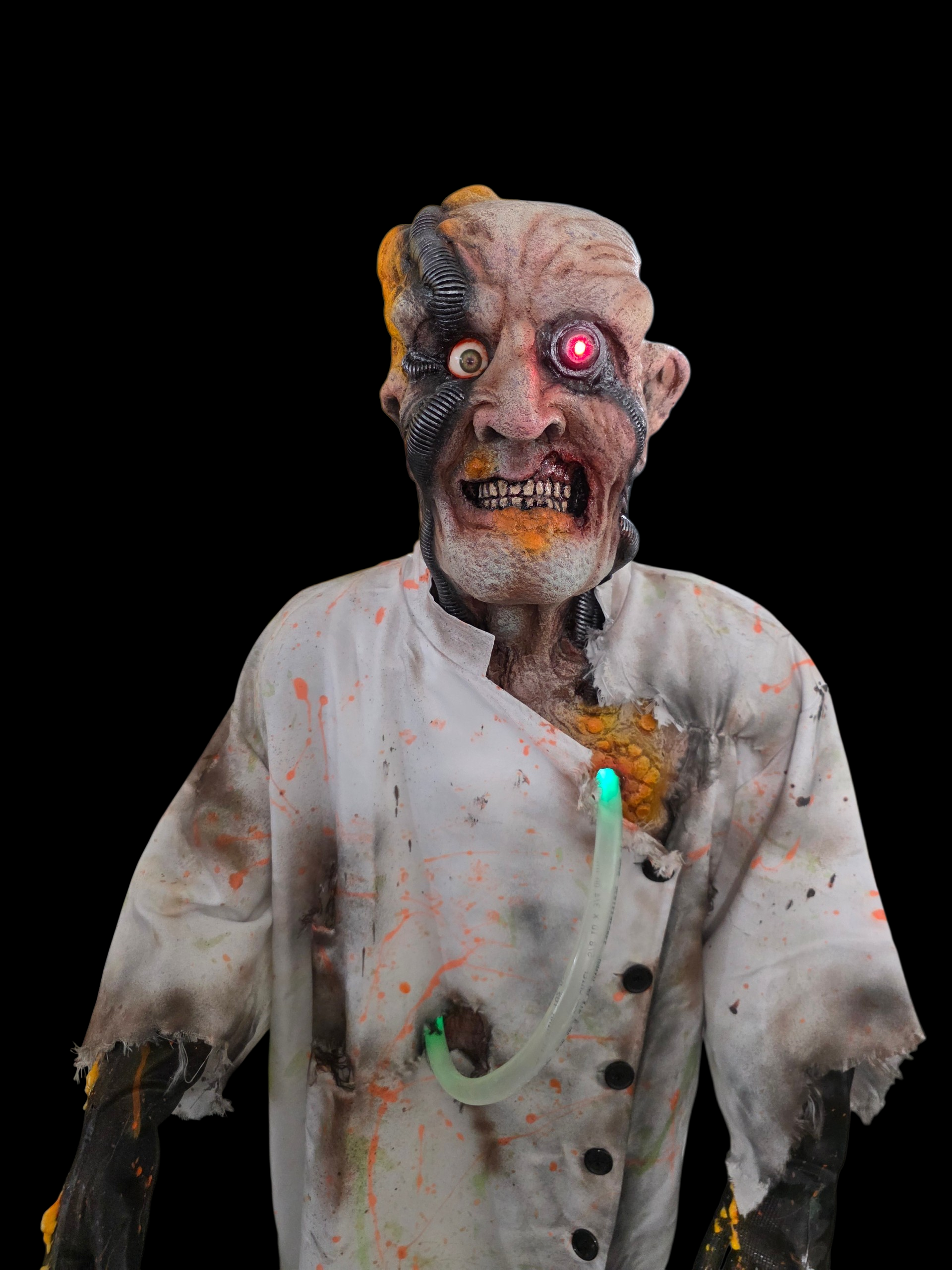6ft Dr Unsterblicht