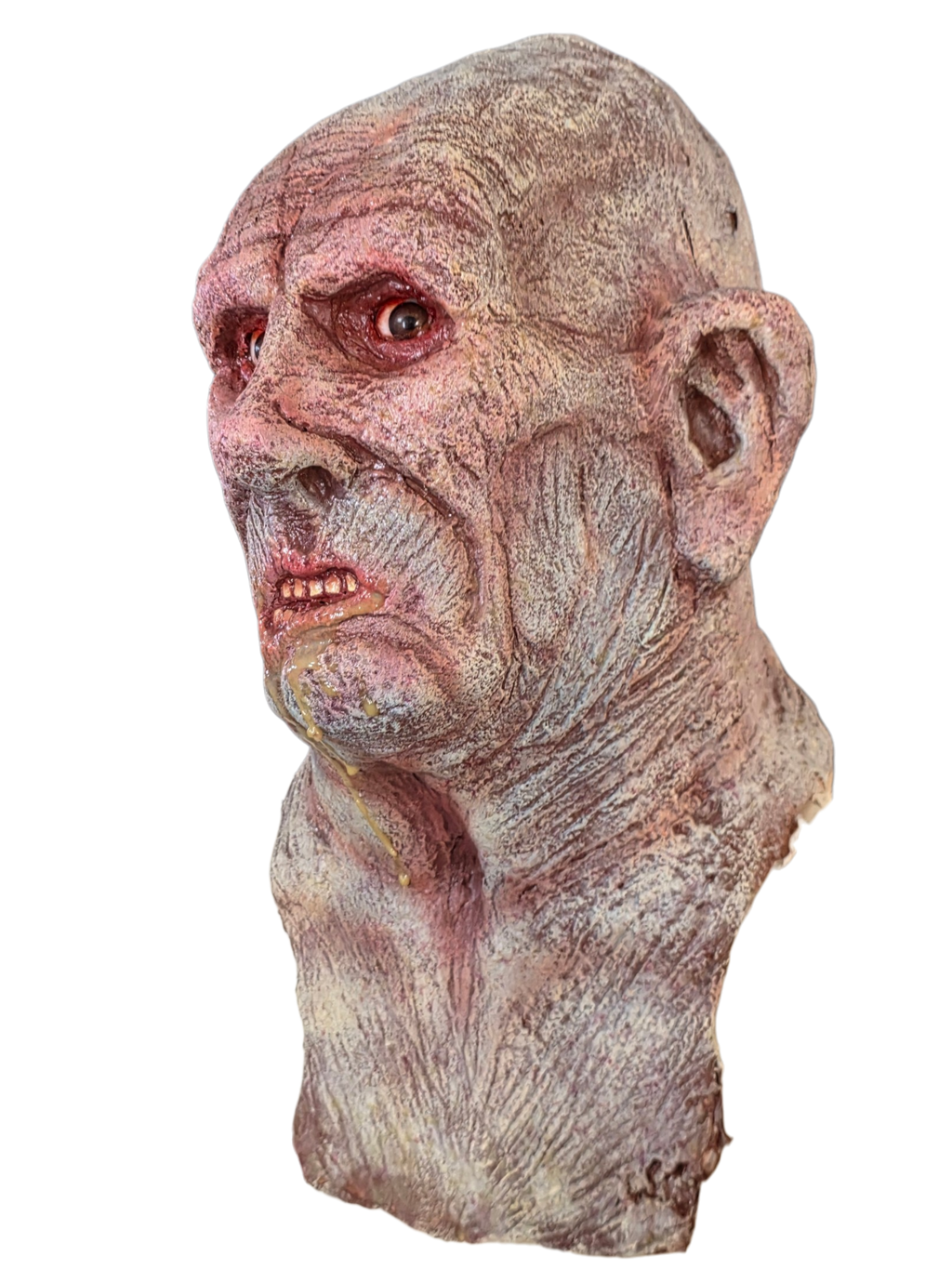 The Politician (Head Display)