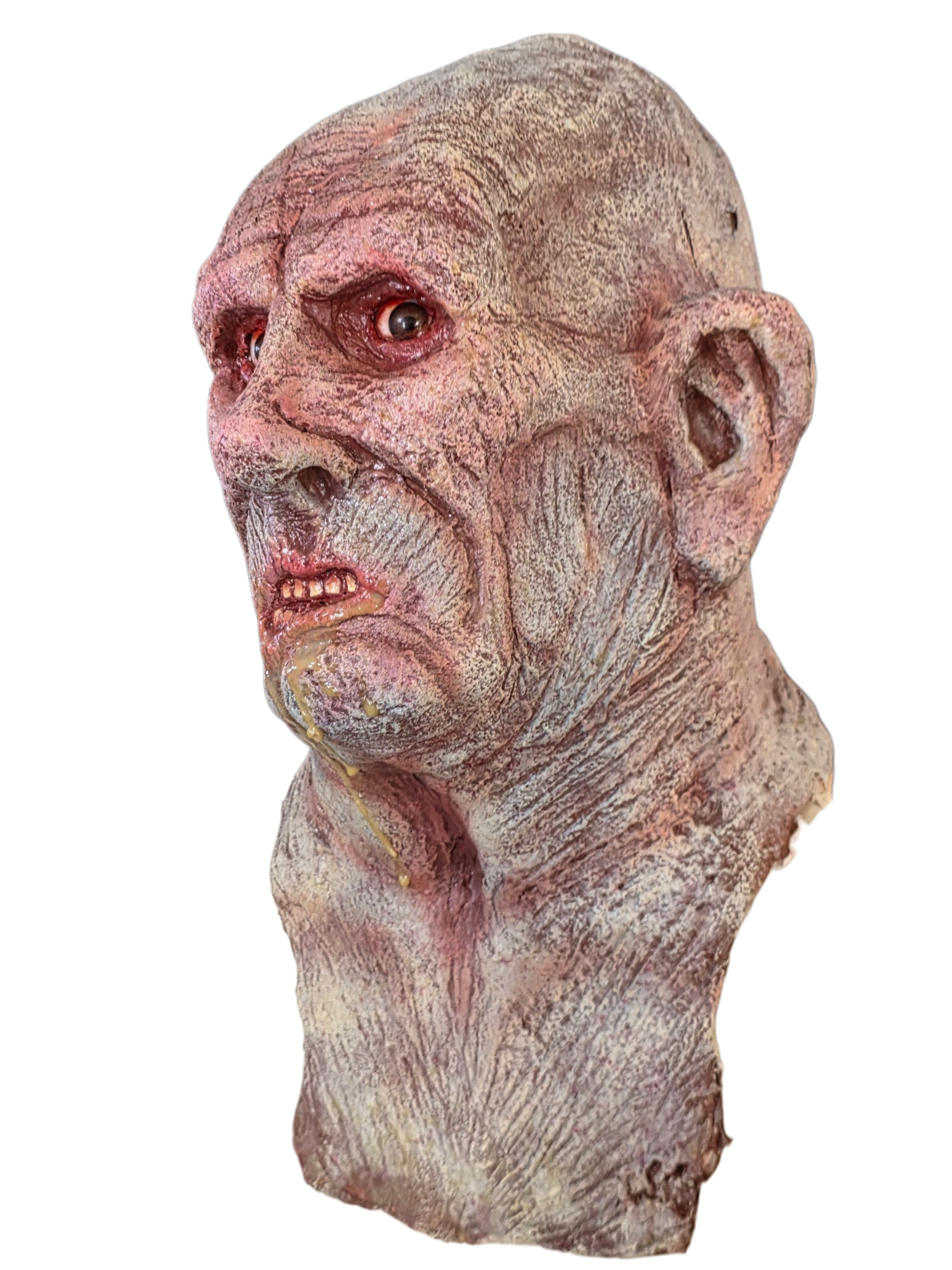 The Politician (Head Display)