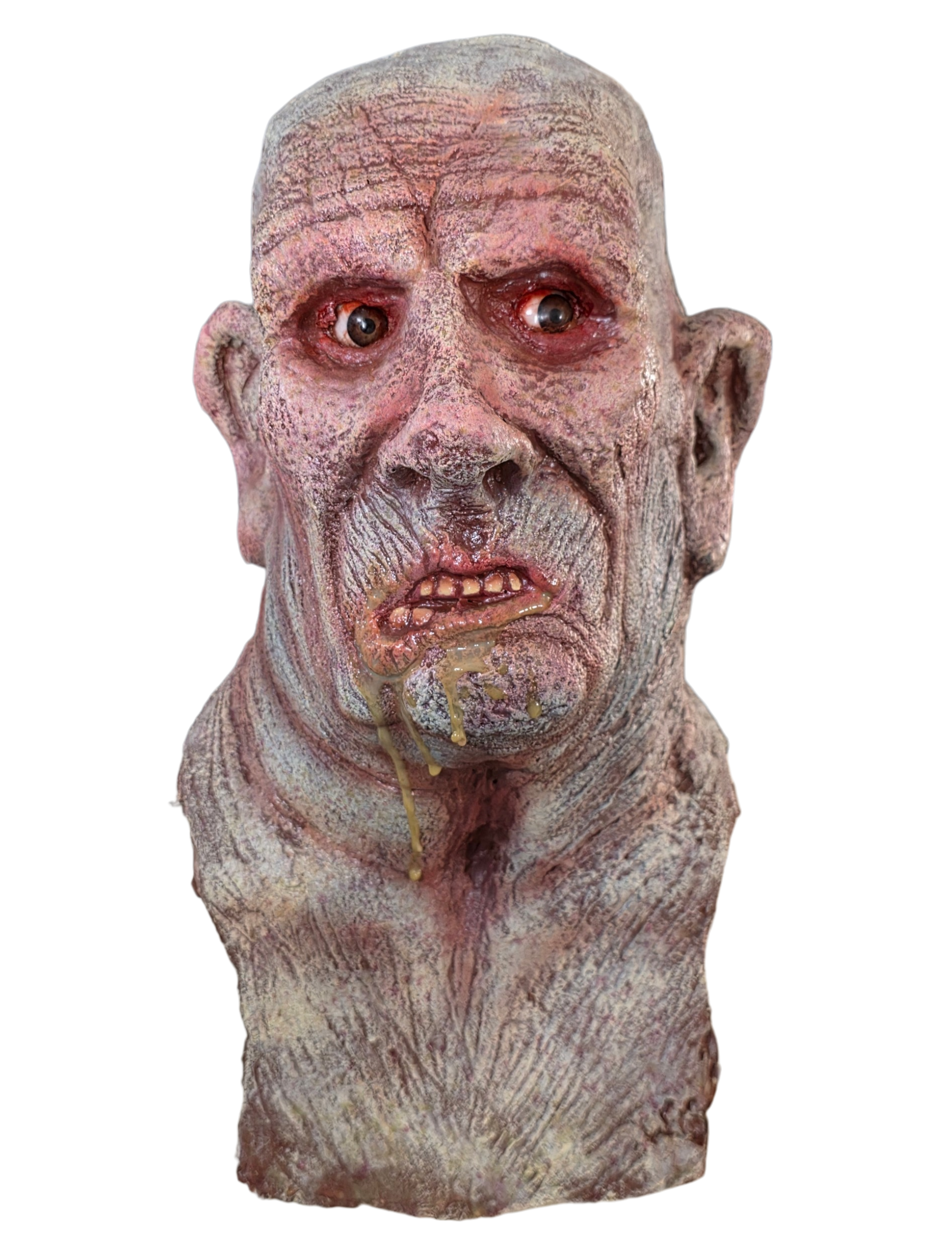 The Politician (Head Display)