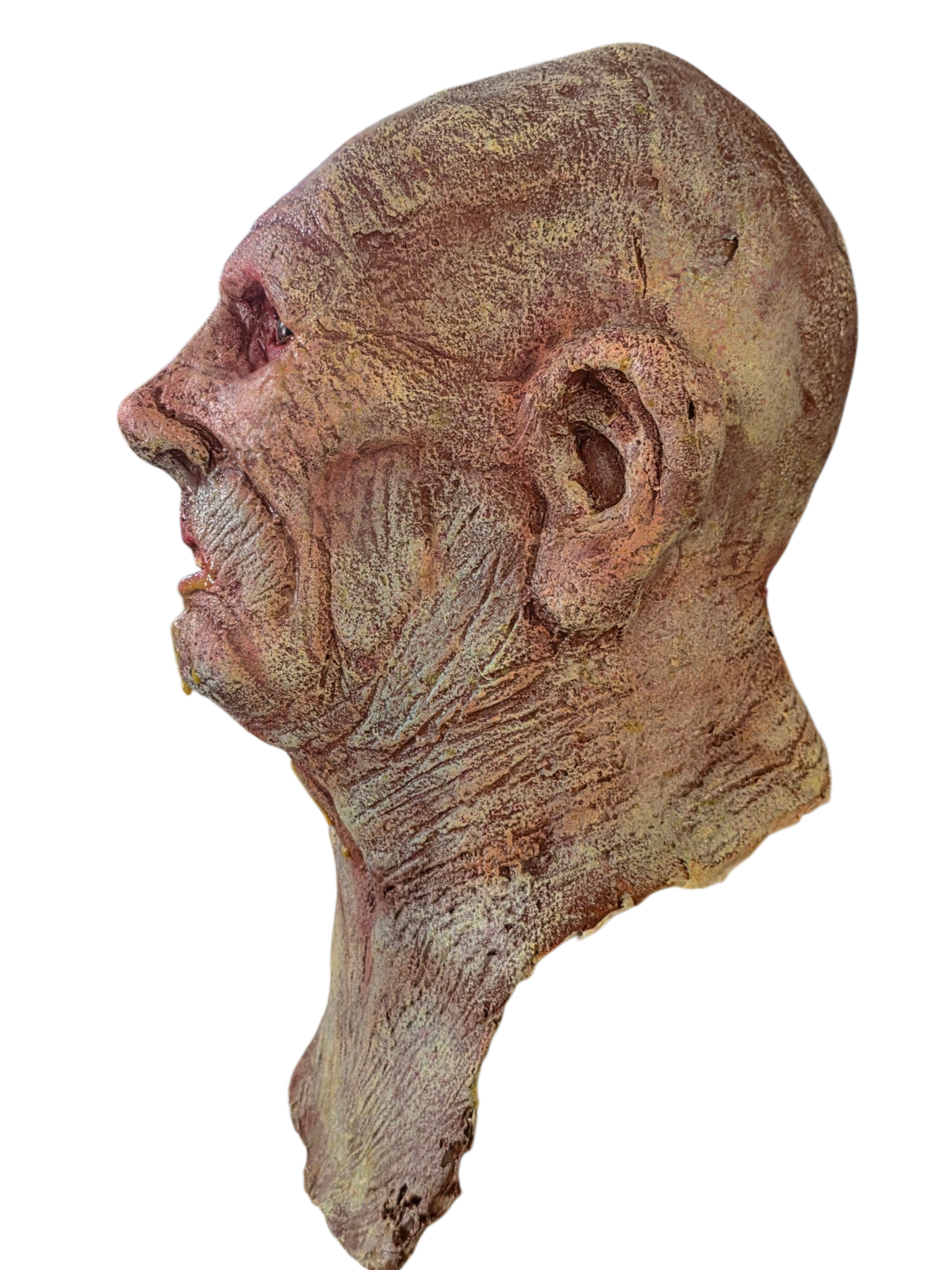 The Politician (Head Display)