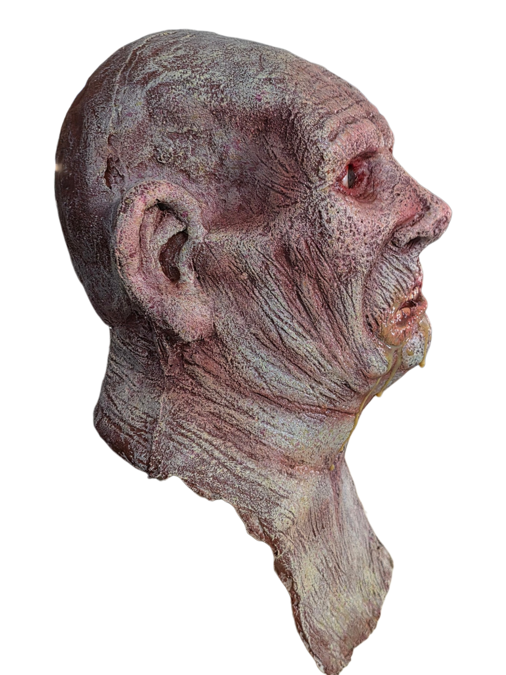 The Politician (Head Display)