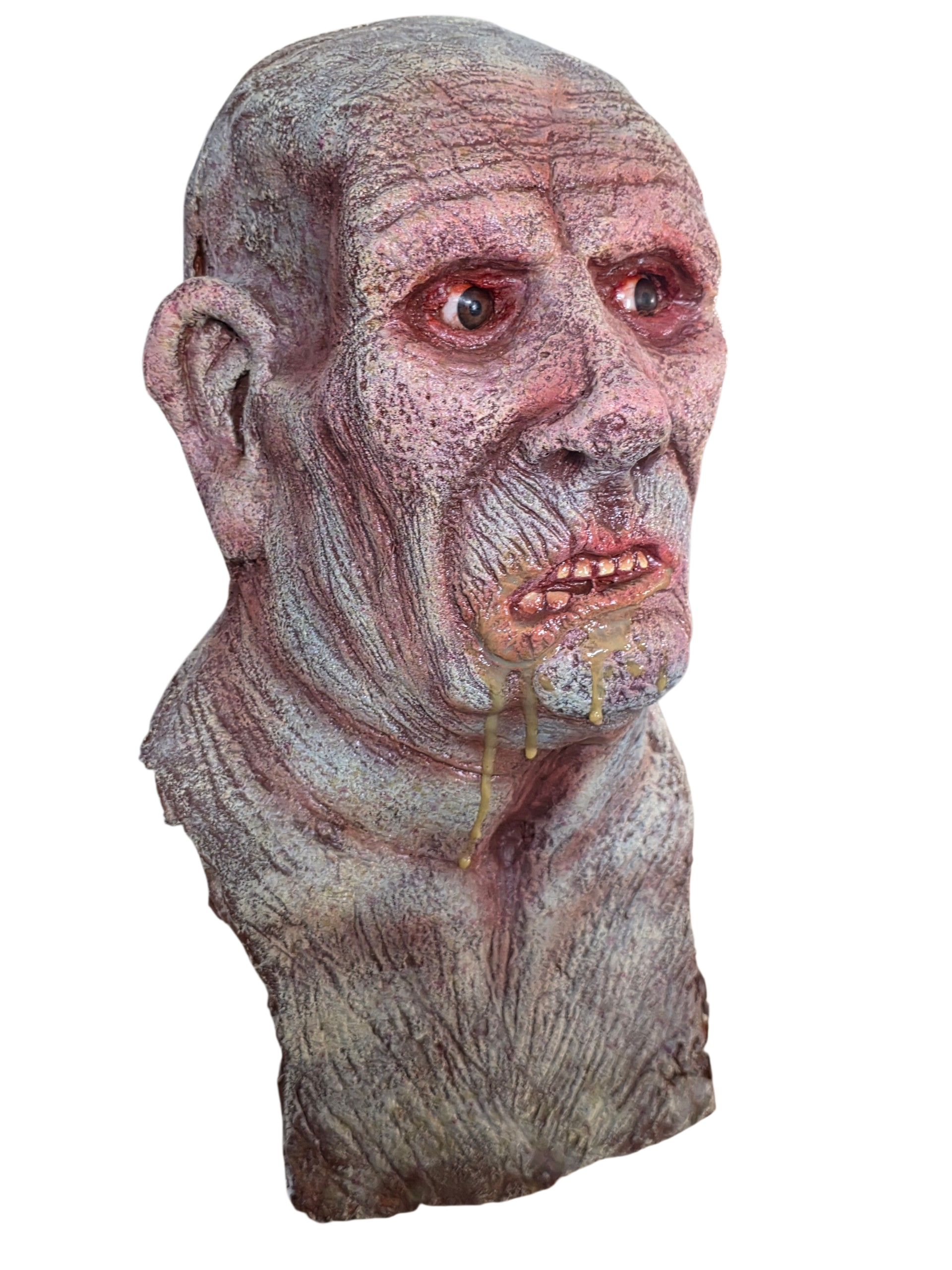 The Politician (Head Display)